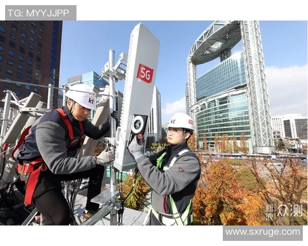 安徽文一与上海对决票价分析及观赛体验探讨