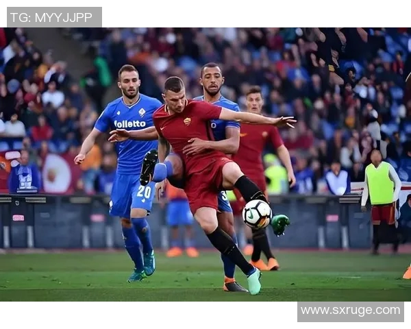 西布罗姆迎战纽卡斯尔精彩对决分析及赛前预测11月28日