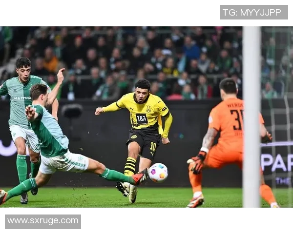 格雷茨卡的崛起与德甲赛场的影响力分析与未来展望